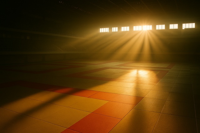 judo-mat-spotlight